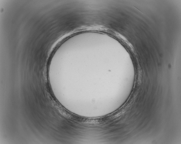 X0000087631174200705311321