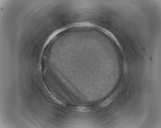 X0000087631176200705311321