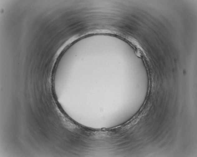 X0000087631181200705311321