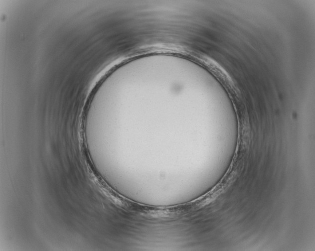 X0000087631182200705311321