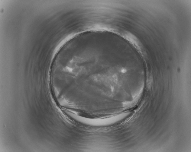 X0000087631183200705311321