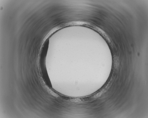 X0000087631186200705311321