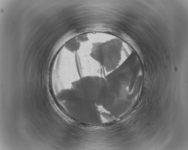 X0000087631187200705311321