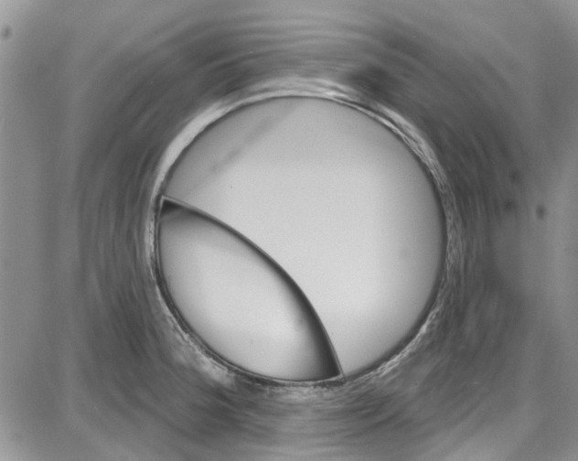 X0000087631188200705311321