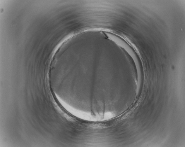 X0000087631189200705311321