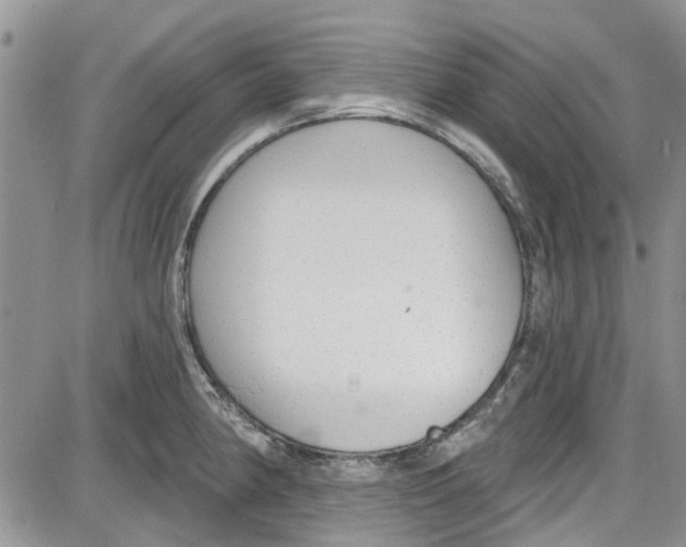 X0000087631190200705311321