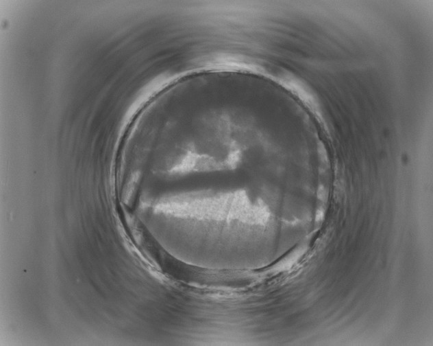 X0000087631191200705311321