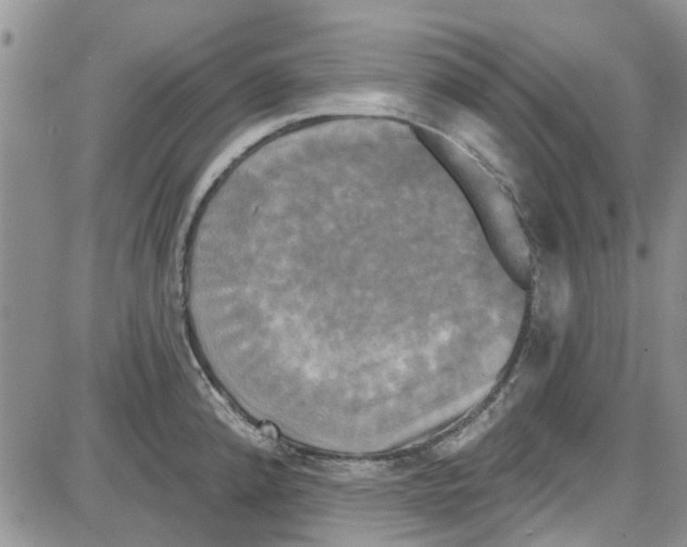 X0000087631192200705311321