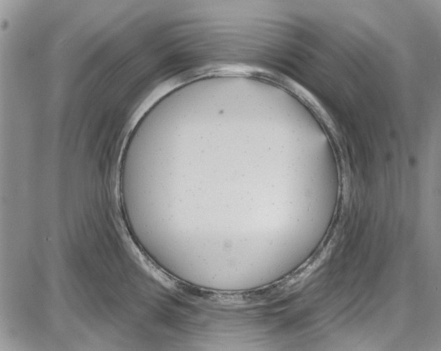 X0000087631194200705311321