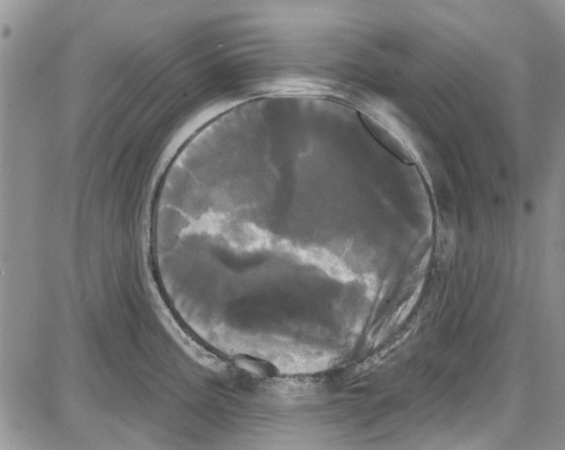 X0000087631195200705311321