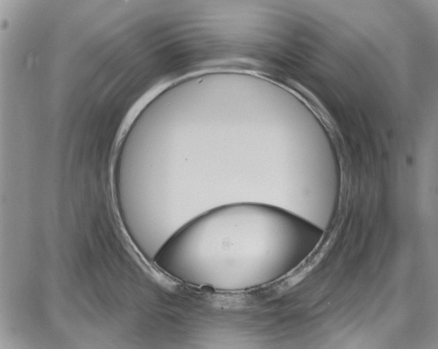 X0000087631196200705311321