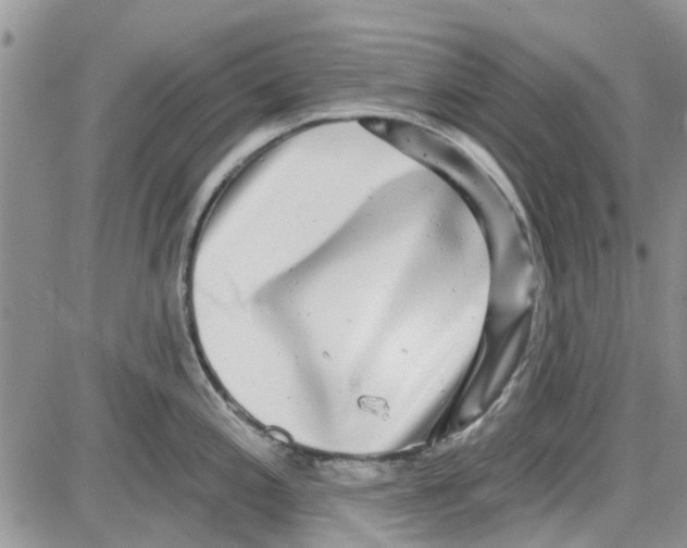 X0000087631197200705311321