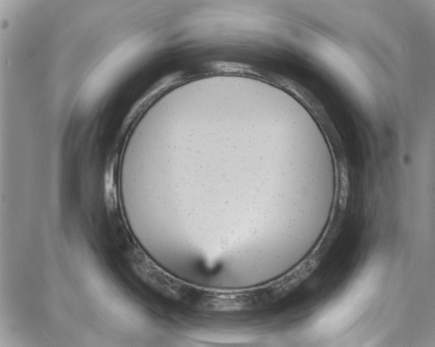 X0000087631198200705311321