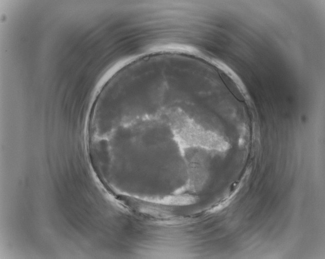 X0000087631199200705311321