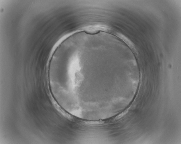 X0000087631200200705311321