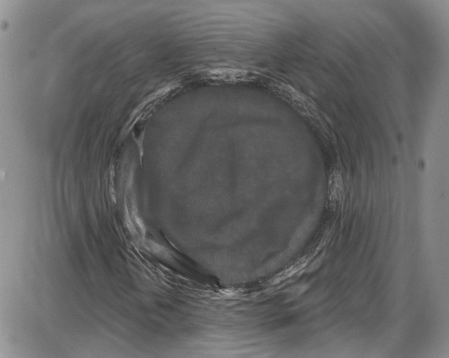 X0000087631202200705311320