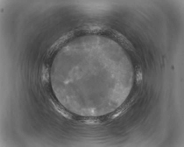 X0000087631204200705311320