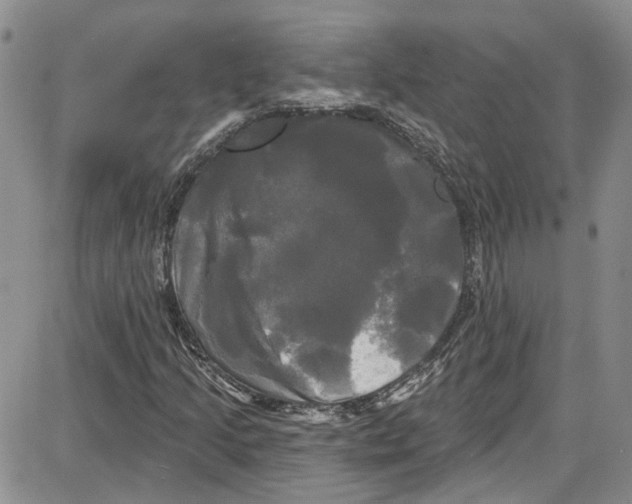 X0000087631205200705311320