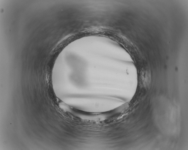 X0000087631206200705311320