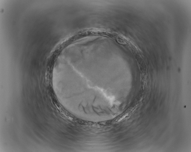 X0000087631207200705311320