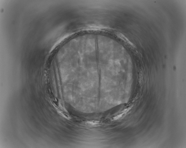 X0000087631208200705311320