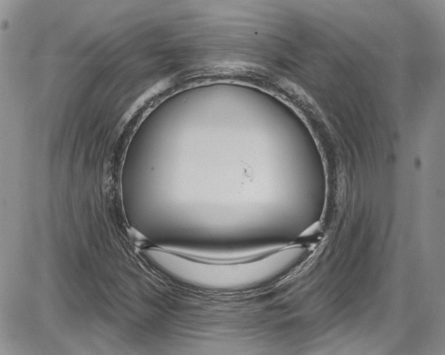 X0000087631210200705311320