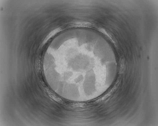 X0000087631211200705311320