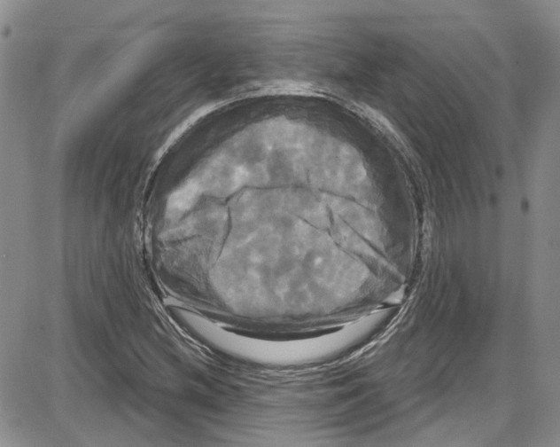 X0000087631212200705311320