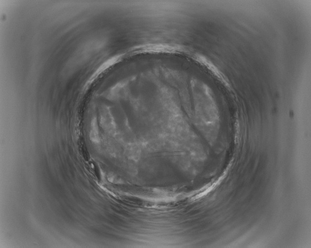 X0000087631213200705311320