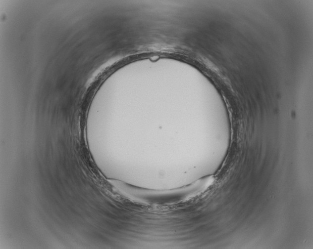 X0000087631214200705311320