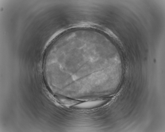 X0000087631216200705311320