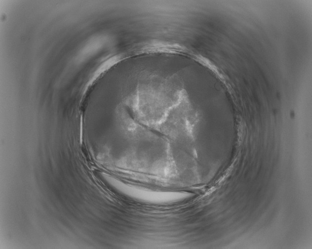 X0000087631219200705311320