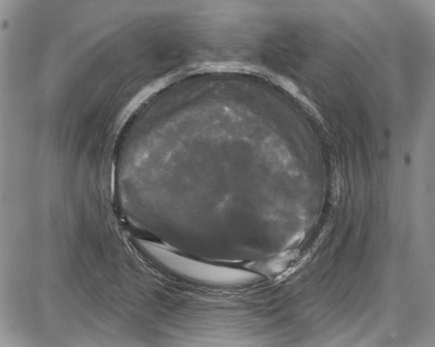 X0000087631221200705311320