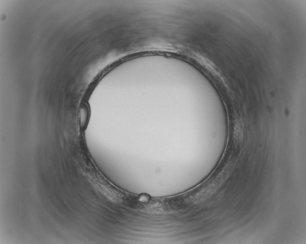 X0000087631222200705311320