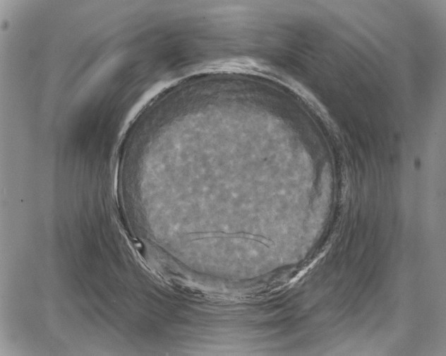 X0000087631224200705311320