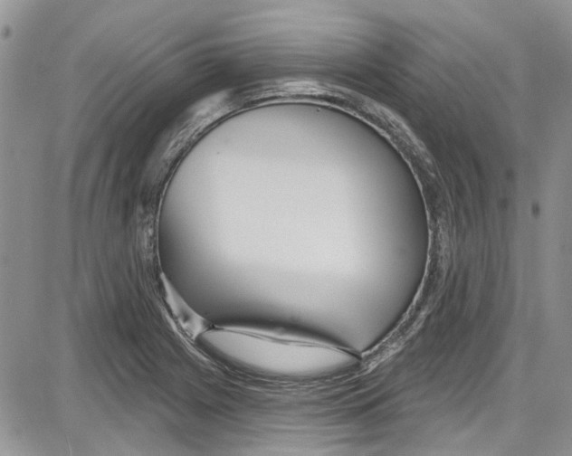 X0000087631225200705311320