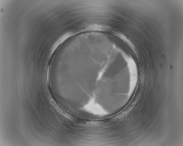 X0000087631227200705311320