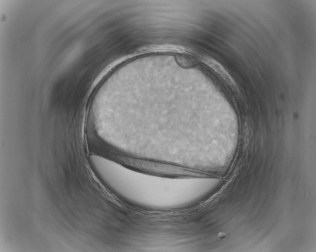 X0000087631228200705311320