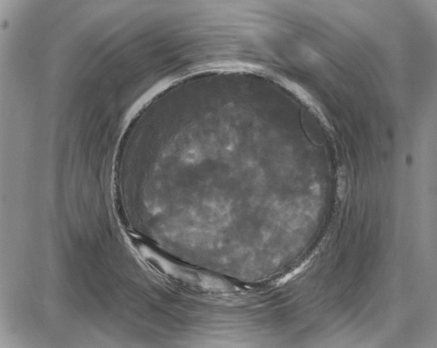 X0000087631229200705311320