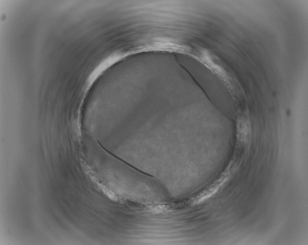 X0000087631230200705311320