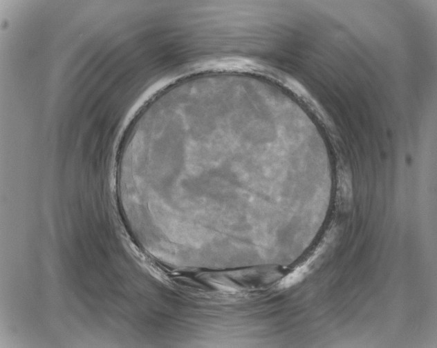 X0000087631232200705311320