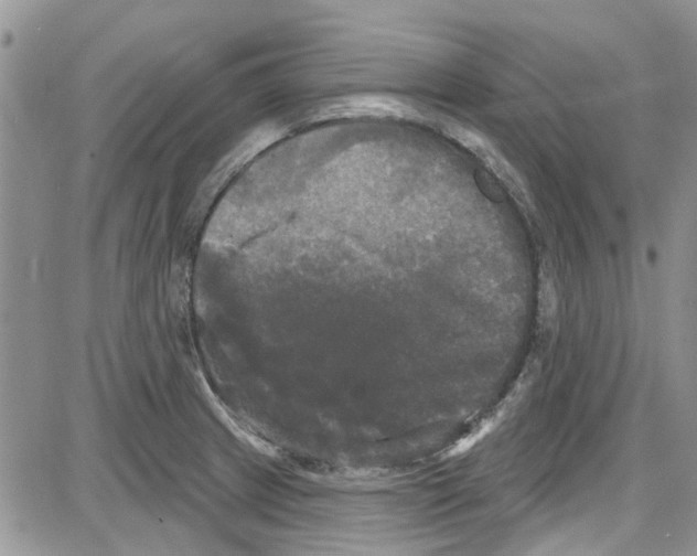 X0000087631233200705311320