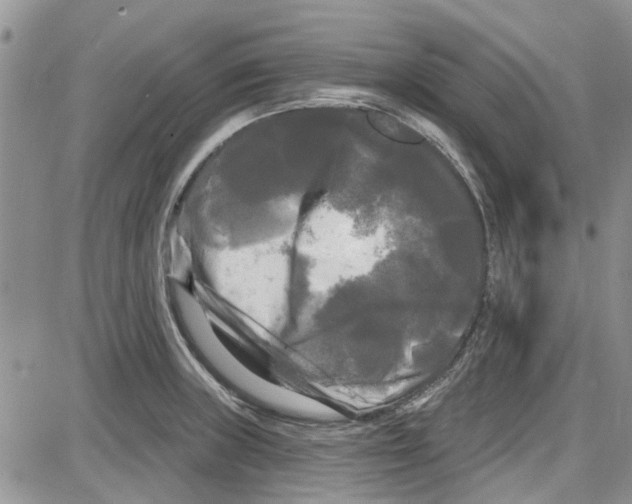 X0000087631235200705311320