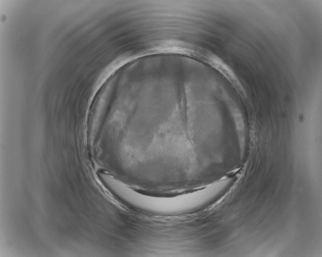 X0000087631236200705311320