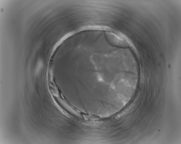 X0000087631237200705311320