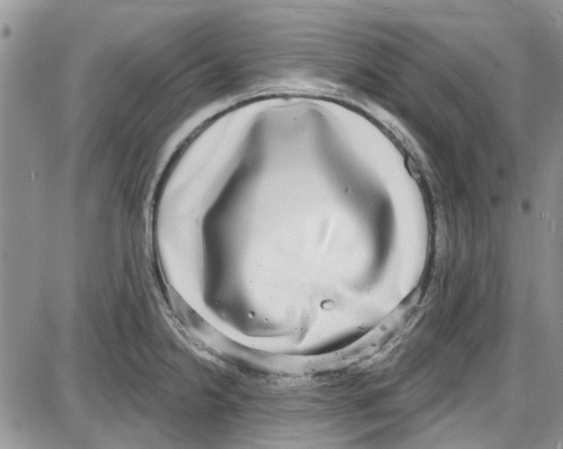 X0000087631238200705311320