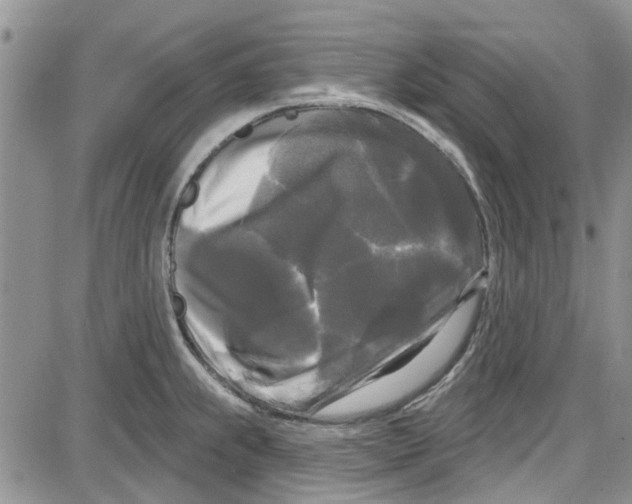 X0000087631239200705311320