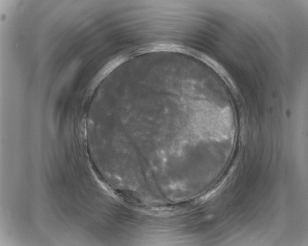 X0000087631241200705311321