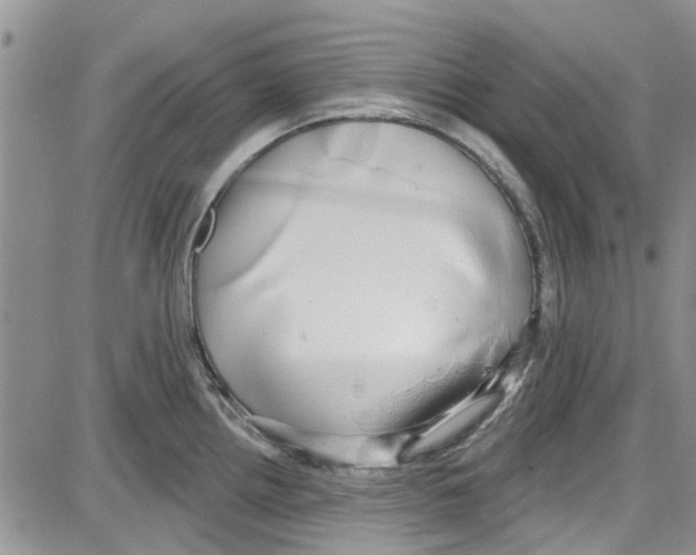 X0000087631242200705311321