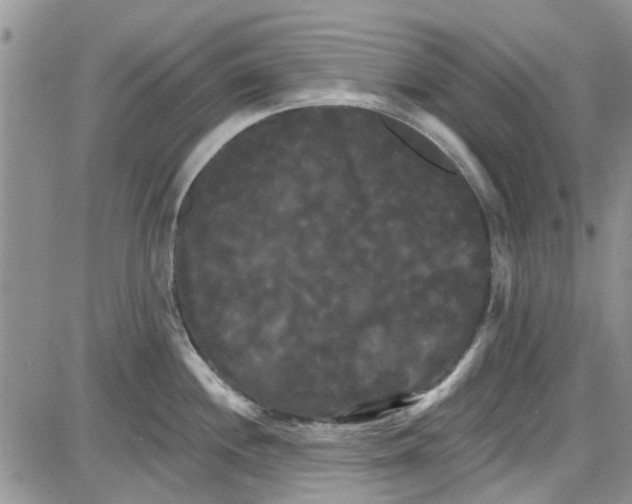 X0000087631244200705311321